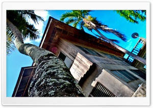Ancestral House Ultra HD Wallpaper for 4K UHD Widescreen desktop, tablet & smartphone