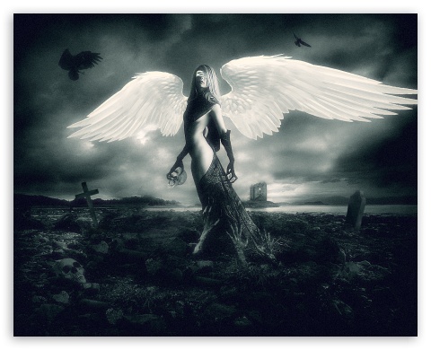 Angel of death Ultra HD Desktop Background Wallpaper for