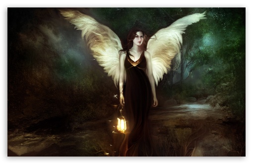 Angel Of The Night Ultra HD Desktop Background Wallpaper for 4K UHD TV ...