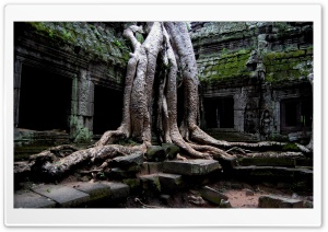 Angkor Wat Temple, Cambodia Ultra HD Wallpaper for 4K UHD Widescreen desktop, tablet & smartphone