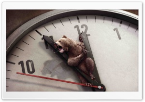 Angry Bear Ultra HD Wallpaper for 4K UHD Widescreen desktop, tablet & smartphone