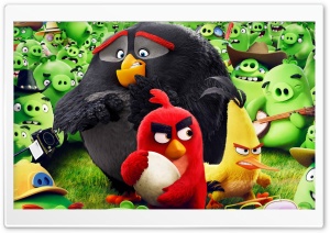 Angry Birds Animation Movie Ultra HD Wallpaper for 4K UHD Widescreen desktop, tablet & smartphone