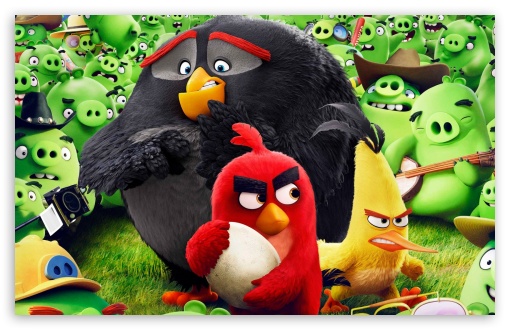 Angry Birds Animation Movie UltraHD Wallpaper for Wide 16:10 5:3 Widescreen WHXGA WQXGA WUXGA WXGA WGA ; 8K UHD TV 16:9 Ultra High Definition 2160p 1440p 1080p 900p 720p ; Standard 4:3 5:4 3:2 Fullscreen UXGA XGA SVGA QSXGA SXGA DVGA HVGA HQVGA ( Apple PowerBook G4 iPhone 4 3G 3GS iPod Touch ) ; Smartphone 5:3 WGA ; Tablet 1:1 ; iPad 1/2/Mini ; Mobile 4:3 5:3 3:2 16:9 5:4 - UXGA XGA SVGA WGA DVGA HVGA HQVGA ( Apple PowerBook G4 iPhone 4 3G 3GS iPod Touch ) 2160p 1440p 1080p 900p 720p QSXGA SXGA ;