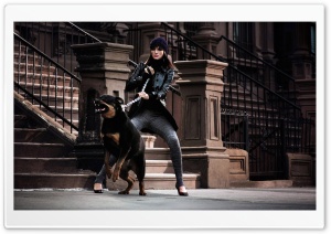 Angry Rottweiler Ultra HD Wallpaper for 4K UHD Widescreen desktop, tablet & smartphone