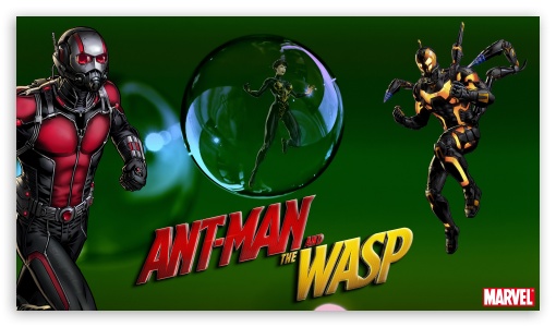 Ant-Man and the Wasp vs. Yellow Jacket UltraHD Wallpaper for 8K UHD TV 16:9 Ultra High Definition 2160p 1440p 1080p 900p 720p ; Mobile 16:9 - 2160p 1440p 1080p 900p 720p ;