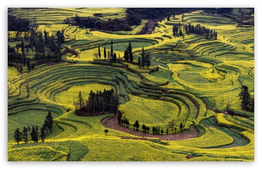 Anthropogenic Landscape UltraHD Wallpaper for UHD 16:9 ; HD 16:9 ; UltraWide 21:9 24:10 32:10 ; Widescreen 16:10 5:3 ; Fullscreen 4:3 5:4 3:2 ; Tablet 1:1 ; Dual 16:10 5:3 4:3 5:4 3:2 ;