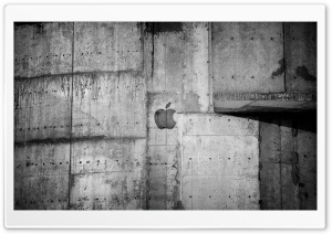 Apple Logo Concrete Wall Ultra HD Wallpaper for 4K UHD Widescreen desktop, tablet & smartphone