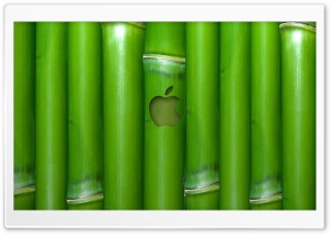 Apple Wallpaper Bamboo Ultra HD Wallpaper for 4K UHD Widescreen desktop, tablet & smartphone