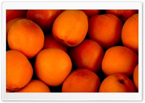 Apricots Fruit Ripe Ultra HD Wallpaper for 4K UHD Widescreen desktop, tablet & smartphone