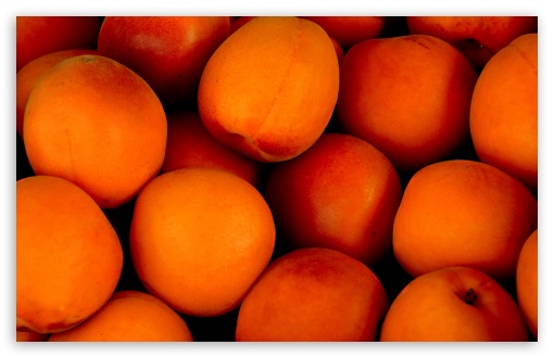 Apricots Fruit Ripe UltraHD Wallpaper for UHD 16:9 ; HD 16:9 ; UltraWide 21:9 24:10 32:10 ; Widescreen 16:10 5:3 ; Fullscreen 4:3 5:4 3:2 ; Tablet 1:1 ; Mobile 9:16 2:3 3:5 3:4 ; Dual 16:10 5:3 16:9 4:3 5:4 3:2 ;