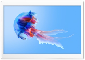 Aquarium Background Ultra HD Wallpaper for 4K UHD Widescreen desktop, tablet & smartphone