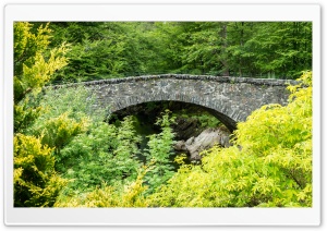 Arch Bridge, Green Trees, Nature Ultra HD Wallpaper for 4K UHD Widescreen desktop, tablet & smartphone