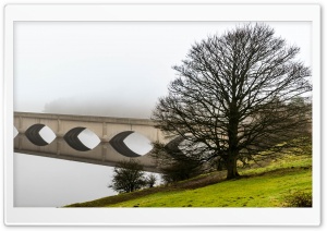 Arch Bridge Reflection, Mist, Leafless Tree Ultra HD Wallpaper for 4K UHD Widescreen desktop, tablet & smartphone