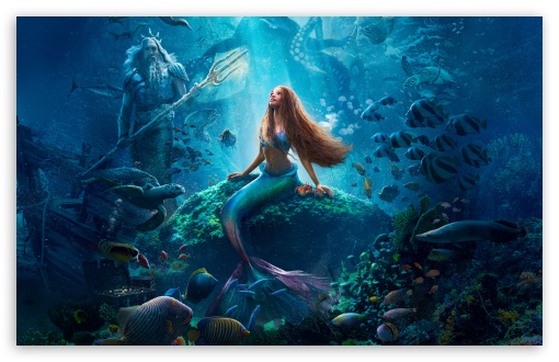 Ariel Little Mermaid wallpaper by gingersnapmolinaro  Download on ZEDGE   9d76