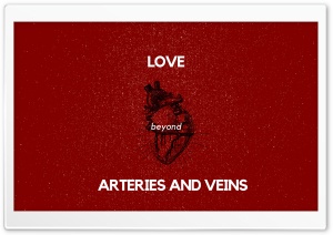 Arteries and Veins Ultra HD Wallpaper for 4K UHD Widescreen desktop, tablet & smartphone