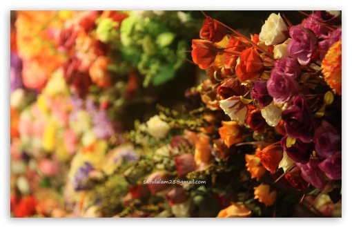 Artificial Flowers UltraHD Wallpaper for UHD 16:9 ; HD 16:9 ; Widescreen 16:10 5:3 ; Fullscreen 3:2 ;