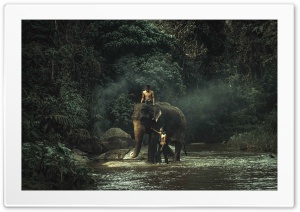 Asia 4K UHD Wallpaper for Widescreen and UltraWide Desktop, UltraHD TV, Smartphone, Tablet