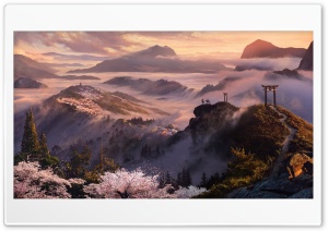 Assassins Creed Shadows 2024 Video Game, Japan, Spring, Landscape, Art Ultra HD Wallpaper for 4K UHD Widescreen desktop, tablet & smartphone