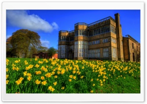 Astley Hall House, Chorley, England, Daffodils Ultra HD Wallpaper for 4K UHD Widescreen Desktop, Lockscreen, Screensaver, TV, Tablet, Smartphone