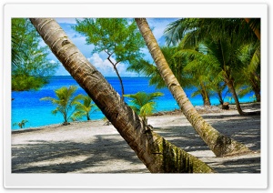 Asu Island Beach Ultra HD Wallpaper for 4K UHD Widescreen desktop, tablet & smartphone