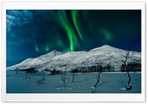Aurora Borealis - Tromso, Norway Ultra HD Wallpaper for 4K UHD Widescreen desktop, tablet & smartphone