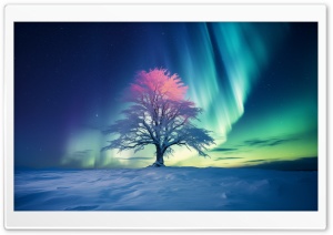 Aurora Winter Landscape Ultra HD Wallpaper for 4K UHD Widescreen desktop, tablet & smartphone