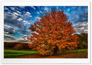 Autumn Ultra HD Wallpaper for 4K UHD Widescreen desktop, tablet & smartphone