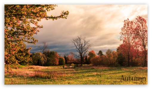 Autumn UltraHD Wallpaper for HD 16:9 ;