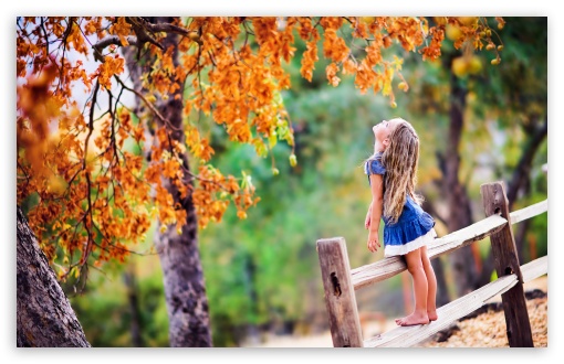 Autumn UltraHD Wallpaper for UHD 16:9 ; HD 16:9 ; UltraWide 21:9 24:10 ; Widescreen 16:10 5:3 ; Fullscreen 4:3 5:4 3:2 ; Tablet 1:1 ;