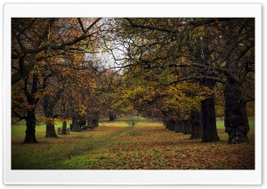 Autumn 4K UHD Wallpaper for Widescreen and UltraWide Desktop, UltraHD TV, Smartphone, Tablet