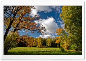 Autumn Afternoon Ultra HD Wallpaper for 4K UHD Widescreen desktop, tablet & smartphone