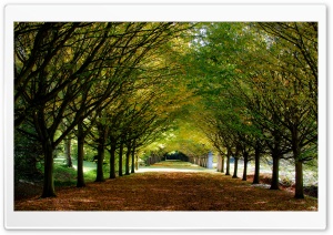 Autumn, Anglesey Abbey, Cambridgeshire, England Ultra HD Wallpaper for 4K UHD Widescreen desktop, tablet & smartphone