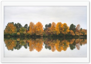 Autumn at the River Ultra HD Wallpaper for 4K UHD Widescreen desktop, tablet & smartphone