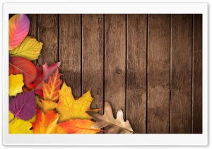 Autumn Background Ultra HD Wallpaper for 4K UHD Widescreen desktop, tablet & smartphone