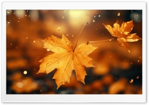 Autumn Background Ultra HD Wallpaper for 4K UHD Widescreen desktop, tablet & smartphone