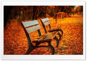 Autumn Bench Ultra HD Wallpaper for 4K UHD Widescreen desktop, tablet & smartphone