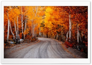 Autumn, California Ultra HD Wallpaper for 4K UHD Widescreen desktop, tablet & smartphone