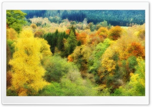 Autumn Colors Background Ultra HD Wallpaper for 4K UHD Widescreen desktop, tablet & smartphone