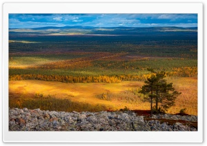 Autumn Colors, Luosto, Hill, Finland, Lapland, Scenic Landscape, Nordic Beauty 4K UHD Wallpaper for Widescreen and UltraWide Desktop, UltraHD TV, Smartphone, Tablet