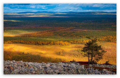 Autumn Colors, Luosto, Hill, Finland, Lapland, Scenic Landscape, Nordic Beauty UltraHD Wallpaper for UHD 16:9 ; HD 16:9 ; UltraWide 21:9 24:10 32:9 32:10 ; Widescreen 16:10 5:3 ; Fullscreen 4:3 5:4 3:2 ; Tablet 1:1 ; Mobile 2:3 3:4 ; Dual 16:10 5:3 16:9 4:3 5:4 3:2 ;