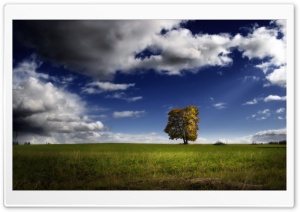 Autumn Comes Ultra HD Wallpaper for 4K UHD Widescreen desktop, tablet & smartphone