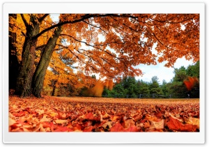 Autumn Country Ultra HD Wallpaper for 4K UHD Widescreen desktop, tablet & smartphone