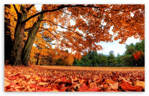 fall wallpaper widescreen