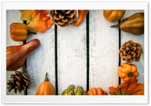 Autumn Decoration Ultra HD Wallpaper for 4K UHD Widescreen desktop, tablet & smartphone