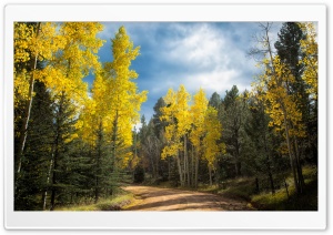 Autumn Drive in Colorado Ultra HD Wallpaper for 4K UHD Widescreen desktop, tablet & smartphone