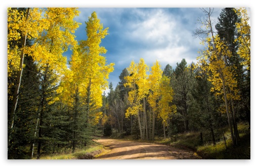 Autumn Drive in Colorado UltraHD Wallpaper for HD 16:9 ; UltraWide 21:9 24:10 ; Widescreen 16:10 5:3 ; Fullscreen 4:3 5:4 3:2 ; Tablet 1:1 ; Mobile 9:16 2:3 3:5 3:4 ;