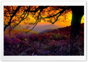 Autumn Dusk Ultra HD Wallpaper for 4K UHD Widescreen desktop, tablet & smartphone