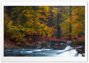 Autumn, Fall, Forest, River, Waterfall, Golden Trees Ultra HD Wallpaper for 4K UHD Widescreen desktop, tablet & smartphone