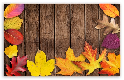 fall leaves wallpaper hd widescreen
