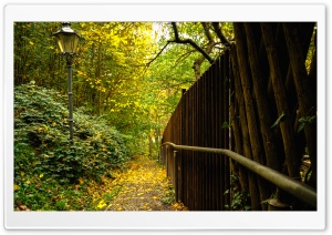 Autumn Forest Path Ultra HD Wallpaper for 4K UHD Widescreen Desktop, Lockscreen, Screensaver, TV, Tablet, Smartphone